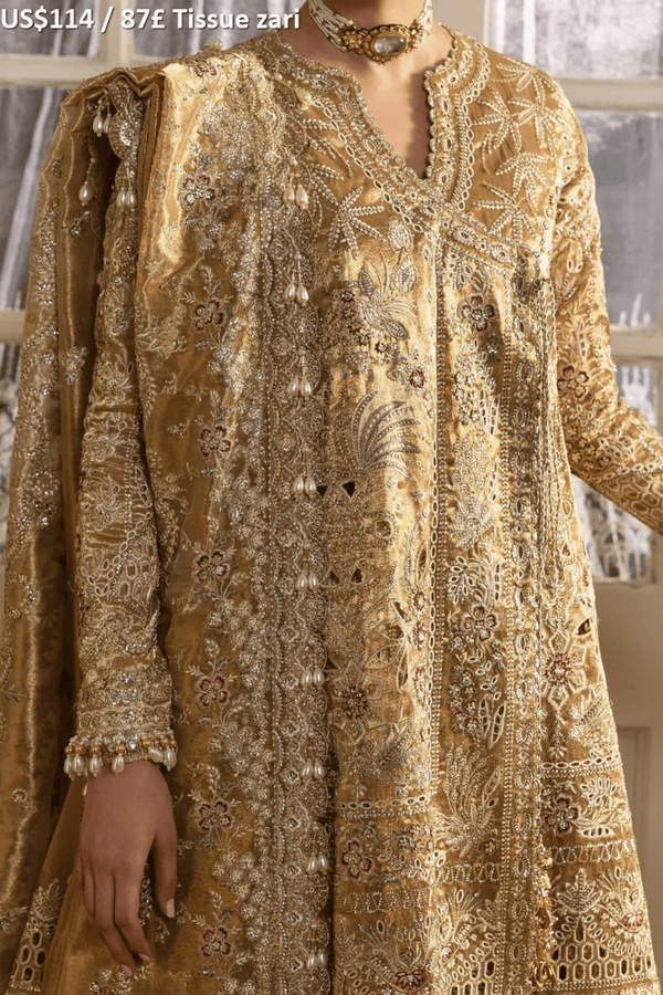Afrozeh Dastangoi Luxury Formal-06