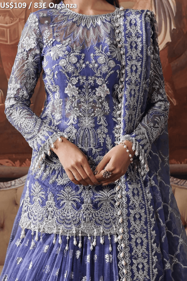 Afrozeh Dastangoi Luxury Formal-04