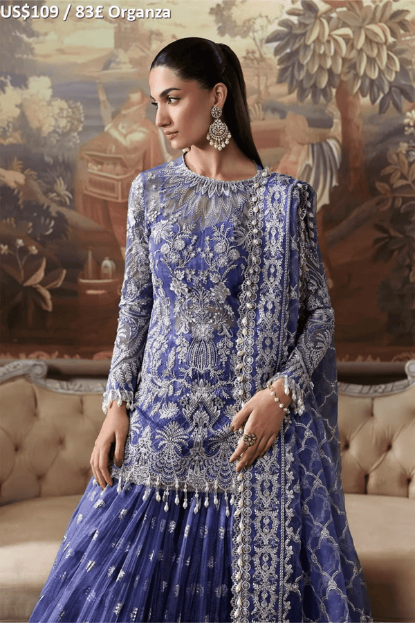 Afrozeh Dastangoi Luxury Formal-04