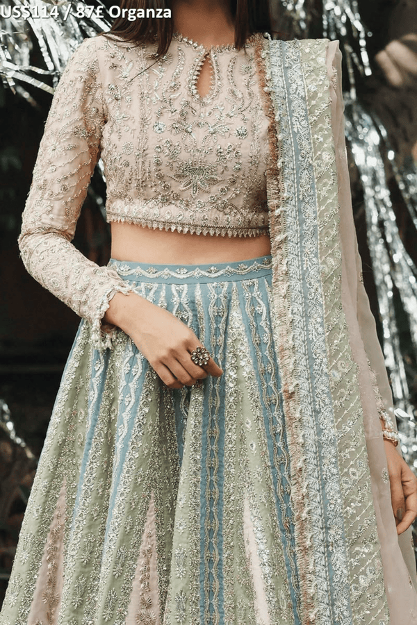 Afrozeh Dastangoi Luxury Formal-01