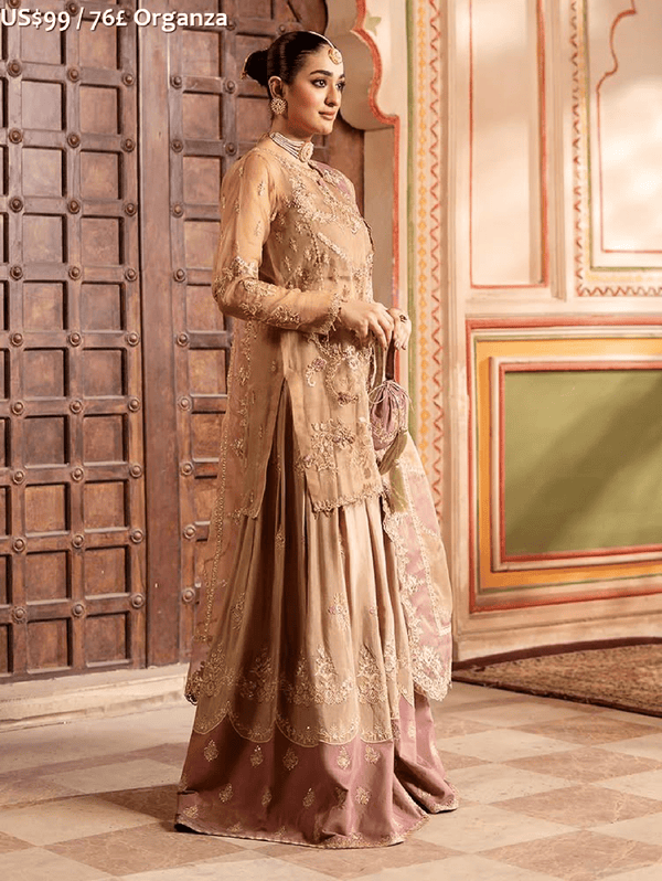 Zebtan Rangreza Luxury Festive-03