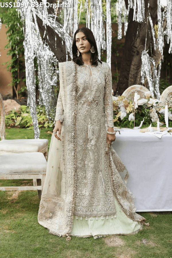 Afrozeh Dastangoi Luxury Formal-08