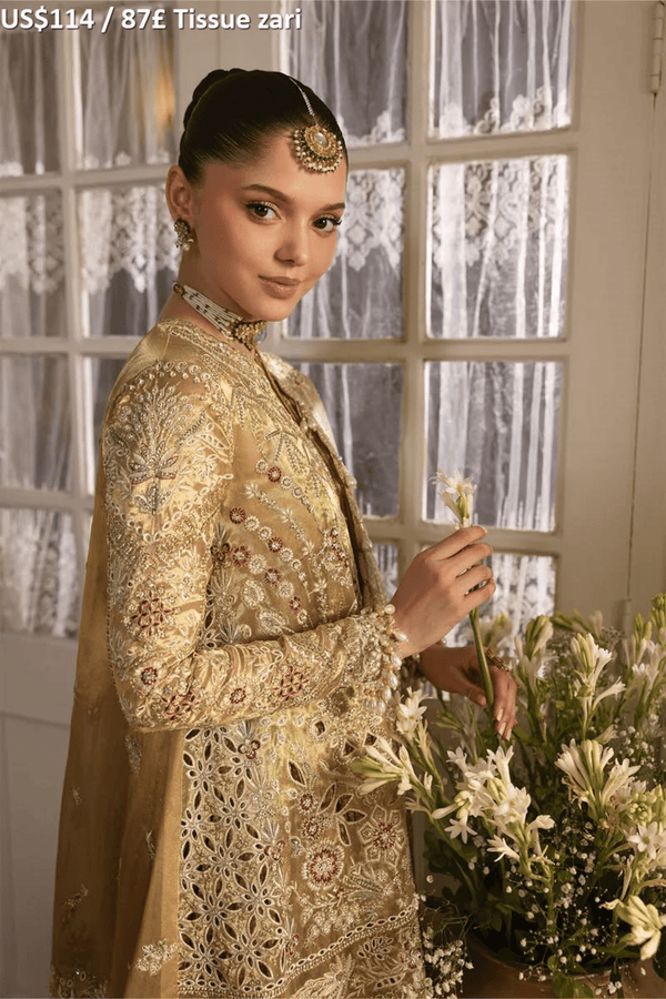 Afrozeh Dastangoi Luxury Formal-06