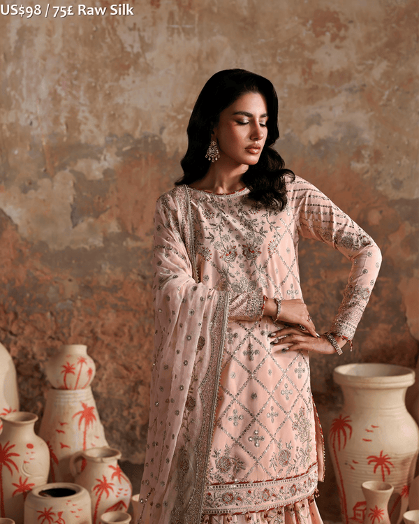 Emaan Adeel Afsana-e-Silk 1-01