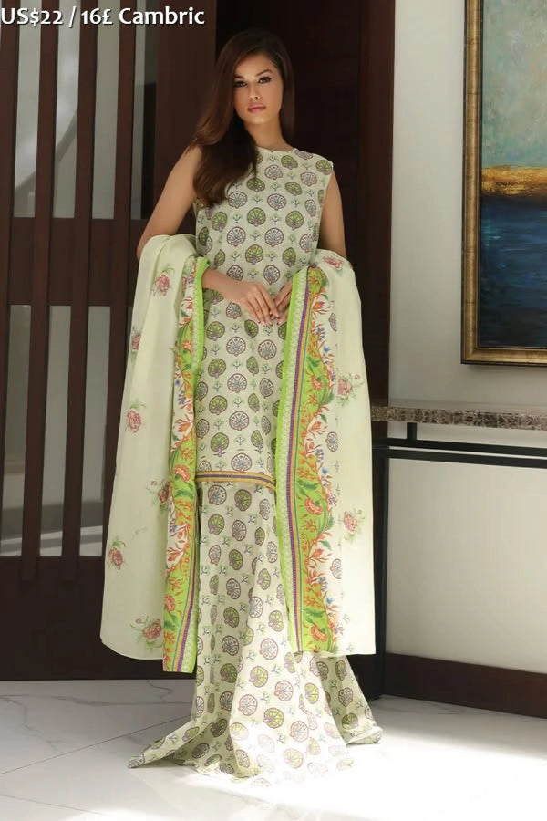 Zellbury Essential Winter-17