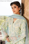 ZellburyChikankari